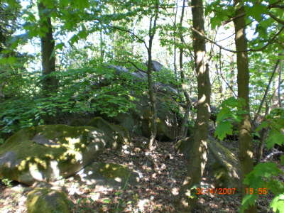 CIMG0020