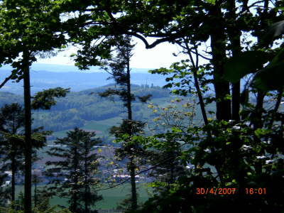 CIMG0031
