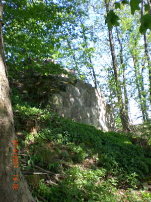 CIMG0035