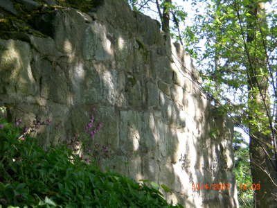 CIMG0036