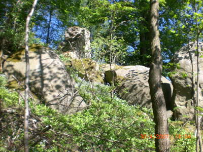 CIMG0037