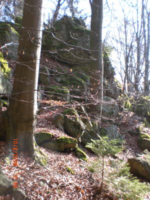 CIMG1657